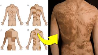 25 Cosas que NO Sabías en 5 minutos!! ⏰😲 [265]