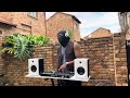 Soulful Deep House 51 Mixed By Nostal Deep SA South Africa Nostalgic Deep House