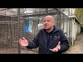 Wie betaalt de opvang van Utrechtse dieren in het wild? [RTV Utrecht]