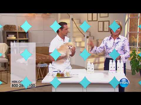 HSN | Pet Solutions featuring Royal Treatment 15th Anniversary 08.17.2017 - 03 PM
