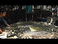 Teens Are Trapped In The Middle Of Maze Forced To Survive With Dangerous Creatures
