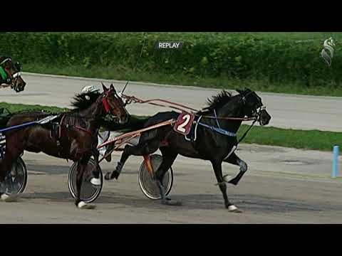 Aversa trotto 5 Dicembre 2020 - 7° Corsa