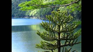 Last time Radial Angel