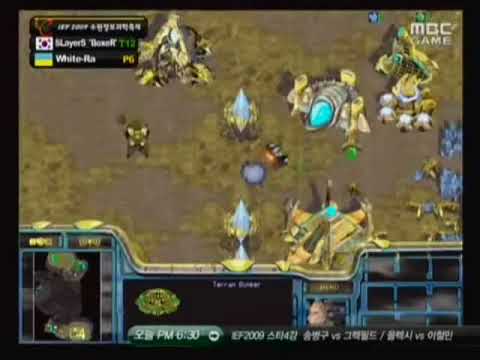 IEF:Boxer vs White-Ra p1/2