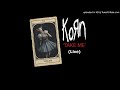 Korn Take Me Live