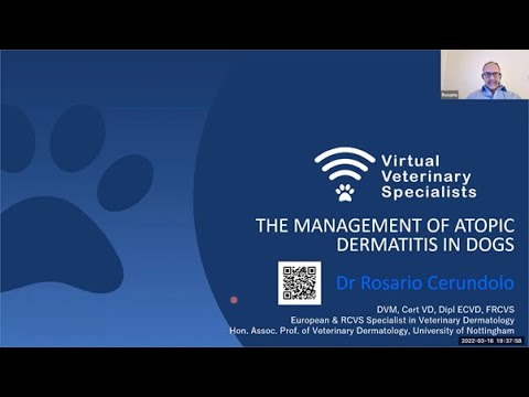 VVS Dermatology Webinar- 'Management of Atopy in Dogs' with Dr Rosario Cerundolo