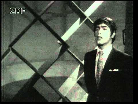 Roy Black - Meine Liebe zu dir