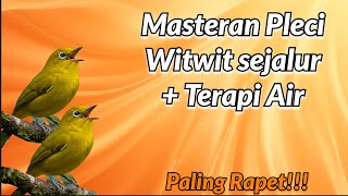 Download lagu MASTERAN PLECI: Witwit Sejalur   Terapi Air mp3