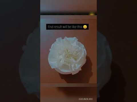DIY flower out of tissue paper..| Rishika amazing world.