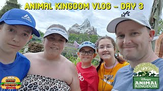Animal Kingdom Vlog - Day 3! Flight Of Passage, Na'vi River Ride, Dinosaur & Lots Of Rain!