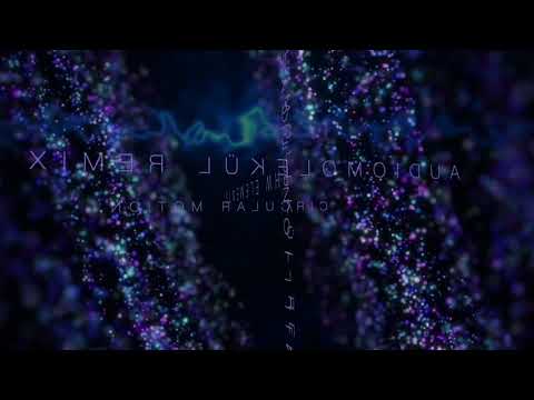One Million Toys - Circular Motion (Audiomolekül Remix)