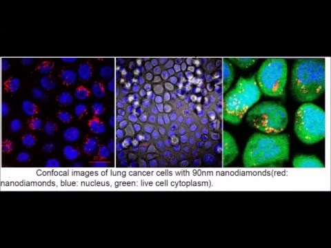 ResearchNVCellThermometry