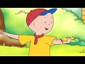 Caillou S Airplane Caillou Cartoon