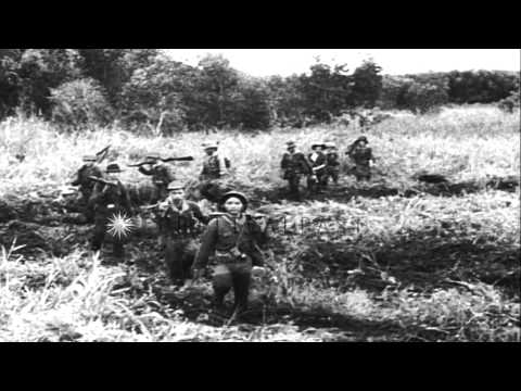 US Marine Corps and US Air Force raid Vietcong strongholds and aid South Vietname...HD Stock Footage