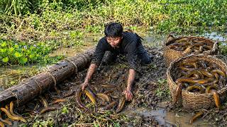 Download lagu A Lucky Day Catching Loads of Eels in the Swamp | Sold Out at the Market in Just 15 Minutes mp3