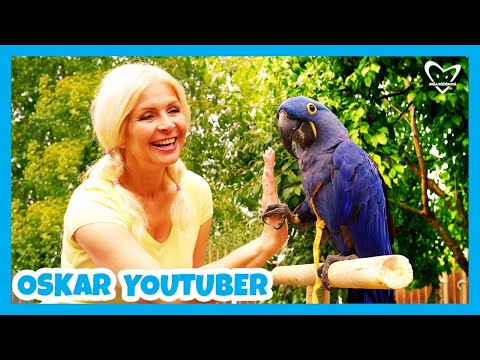 MÍŠA Růžičková and Ara TV