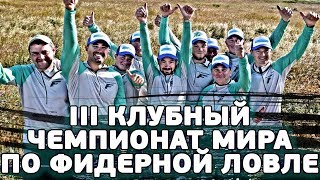 Чм по фидеру 2020 португалия итоги