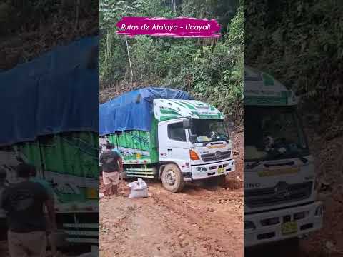 el arduo trabajo de los transportistas por la rutas de Atalaya #ucayali