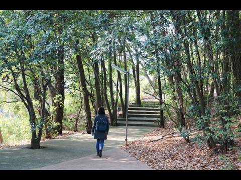【同志社女子大学】2017年1月キャンパスの風景（京田辺キャンパス）