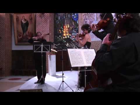 6. J. Haydn. Sonata 5 Cuarteto Assai. Assai String Quarteto