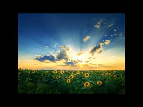 Osheen & Mike Hoska - Sunny (Original Mix)
