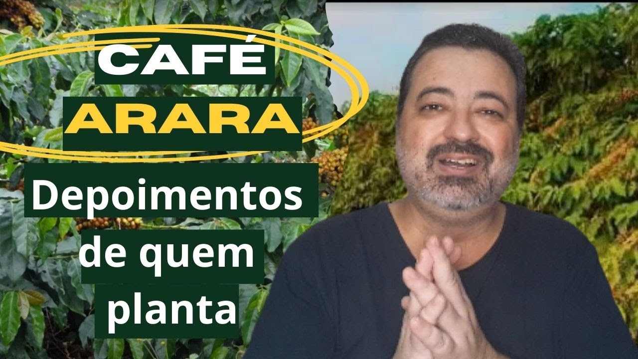 Café Arara: Depoimentos de Cafeicultores sobre Produtividade e Resistência