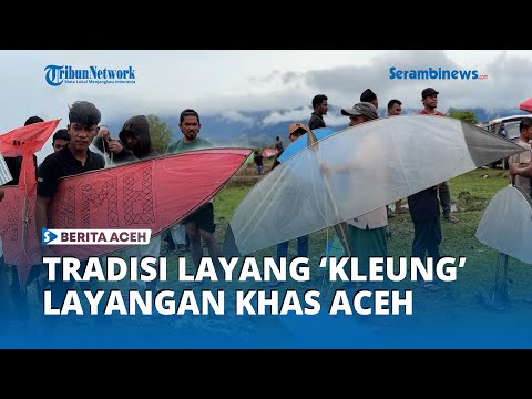 Tradisi Aceh 'Geulayang Tunang': Terbangkan Layangan 'Kleung' Khas Aceh di Sawah Usai Panen Besar