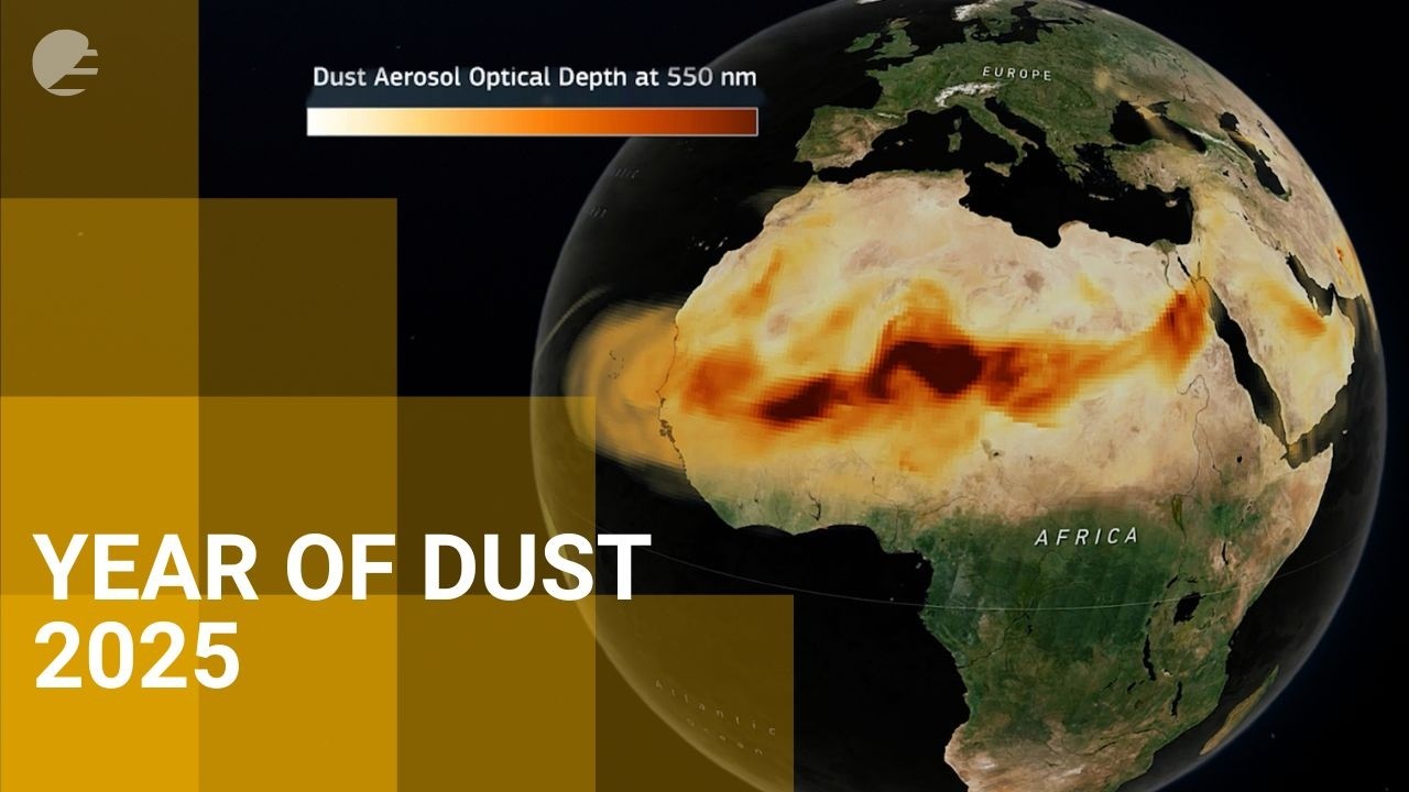 Dust on the move: A year of dust storms in 2025