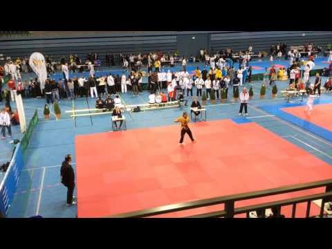 Peter Johanns - Koryo 품새 고려 - German Open Poomsae 15.2.2014