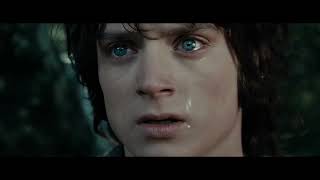 LOTR The Fellowship of the Ring - The Breaking of the Fellowship Part 1