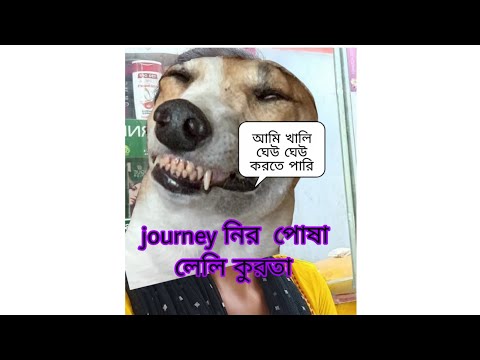 journey are tar so called dog er kotha bolam @Bangalivloggernupur @runalifestyle797