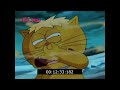Wunschpunsch Night Of Wishes English Dubbed HD