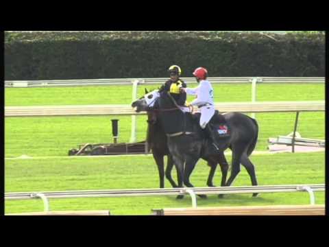 Pinch River - Win at Doomben 17 May 14' (Dalrello Stakes).