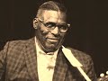 Howlin' Wolf-What a Woman! (The London Howlin' Wolf Sessions)