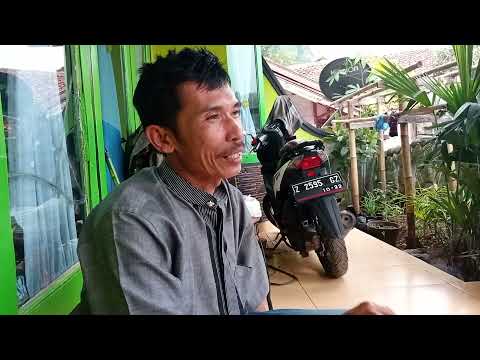 RUMAH PAK UJANG  PETANI JENIUS ( @nyaitangulun )