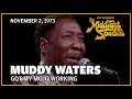 Got My Mojo Working - Muddy Waters | The Midnight Special