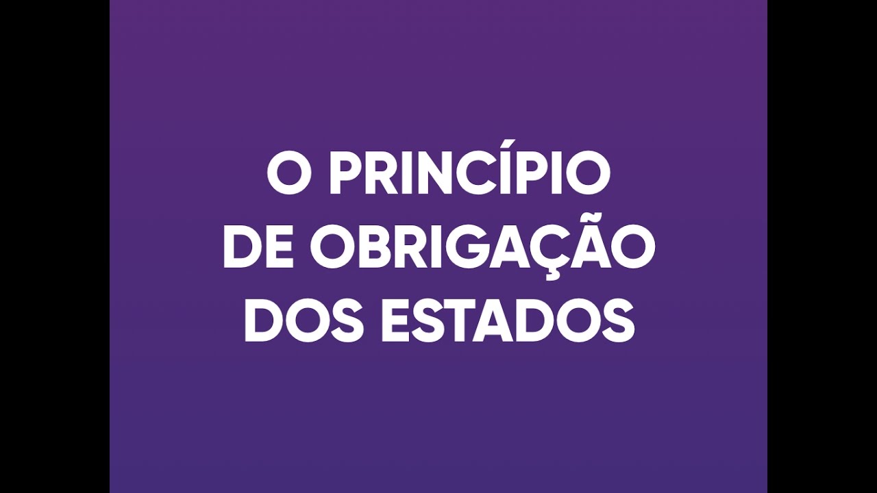 CEDAW Rápida e Concisa: o Princípio de Obrigação dos Estados