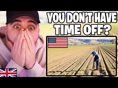Brit Reacts to How Working in America is COMPLETELY DIFFERENT to Europe!