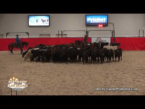 WR Hotshot ridden by Anne M. Albert  - 2018 NRCHA Stallion Stakes (Herd Work, NP Ltd.)