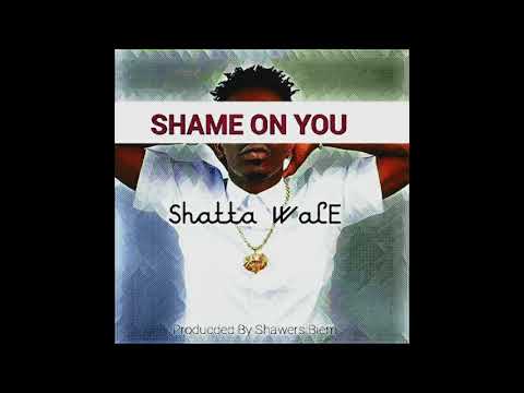 Shatta Wale - Shame On You (Audio Slide)