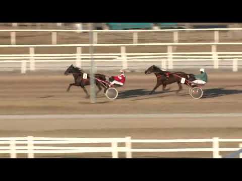 2022.02.05. 04. futam - HITVES DÍJ