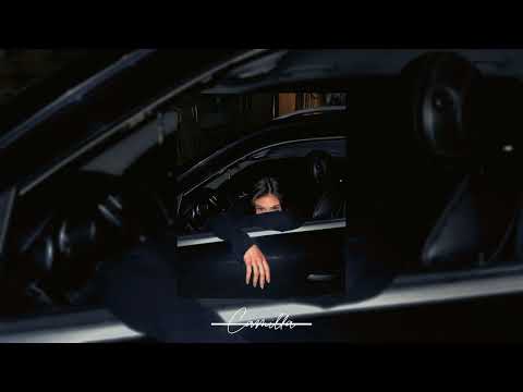 YUNG SAINT PAUL - Camilla (best part)