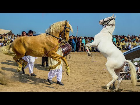 Beautiful Vaisakhi Festival in Cholistan Desert | Desert Village Life in Pakistan | Channan Peer