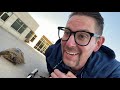 Saint Maria Goretti Morning Announcements September 15 2021 SPECIAL GUEST Boris The Tortoise