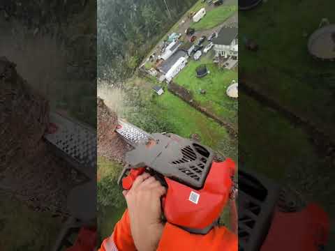 Sending a Big Fir Top! 🌲 #shorts