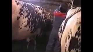 latraitemecaniquesurlemont