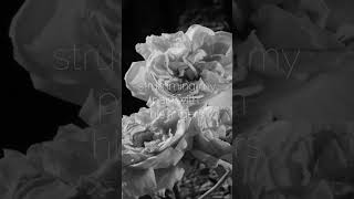 Download lagu lauryn hill - killing me softly with his song mp3