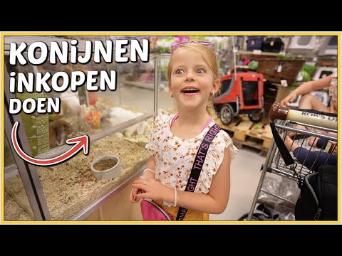 , title : 'NOG MEER KONiJNEN MEENEMEN UiT DE WiNKEL? 😱 | Bellinga Vlog #2544'