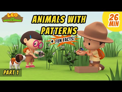 Animals with Patterns (Part 1/2) - Blue Pansy Butterfly and more animal stories!