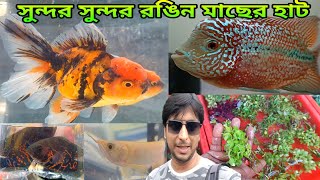 সুন্দর সুন্দর রঙিন মাছের হাট | Serampore Fish Market | Serampore Pet Market | Fish Market | Fish